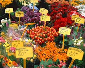 ����: F:\���̂Â���n�����K�T(2011)\www\sampleimage\image05.jpg