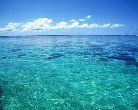 ����: F:\���̂Â���n�����K�T(2011)\www\sampleimage\image07.jpg